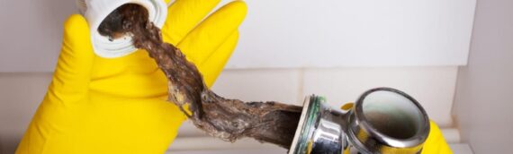 ▷How To Avoid Clogged Pipes In San Diego