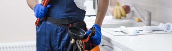 ▷5 Things To Look For When Hiring A Professional Plumber San Diego