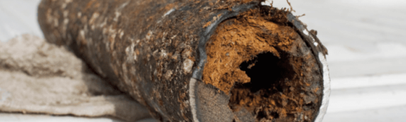▷4 Signs That Your Sewer Line Is Broken In San Diego