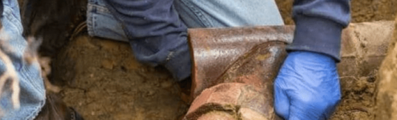 ▷5 Signs of You Might Have Sewer Line Problems In San Diego