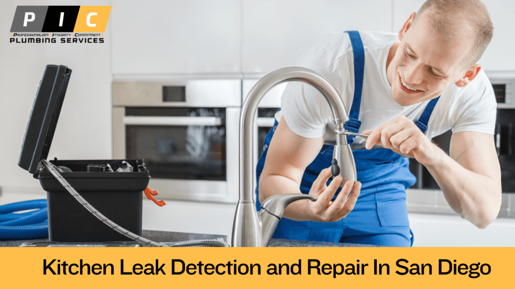 Finding Kitchen Leaks